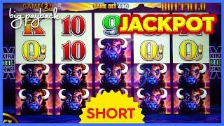 ONE-SPIN WONDER!! Wonder 4 Boost Buffalo Slot - JACKPOT HANDPAY! #Shorts