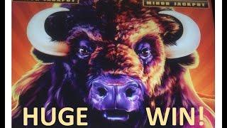 AMAZING Buffalo Stampede Slot Machine - HUGE Win!