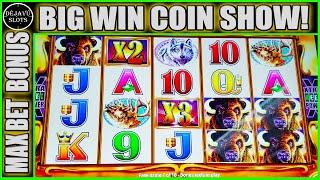 WIFE LANDS OVER 100X WIN! BUFFALO GOLD REVOLUTION SLOT MACHINE COIN SHOW