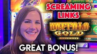 BONUSES! Those Gold Buffalos Came Quick! Buffalo Gold and NEW Screaming Link Slot Machines!
