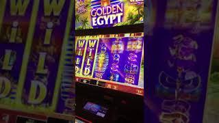 Golden Egypt big hit